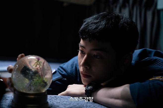 ㈜마인드마크 제공.