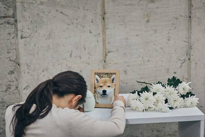 반려동물의 죽음을 애도하고 충분히 슬퍼하는 것을 인정하는 사회적 분위기가 형성돼야 한다. [사진=게티이미지뱅크]