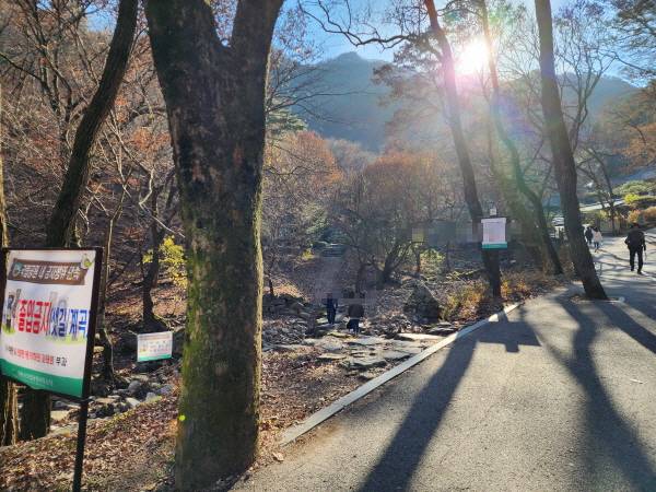 샛길 계곡&nbsp;출입금지라고 쓰여있는 안내문이 보인다.