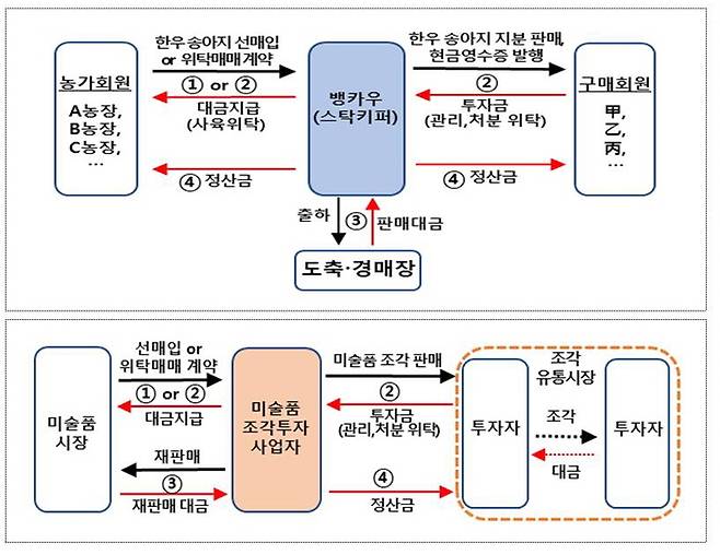 한우 조각투자(위)와 미술품 조각투자 구조. 금융위원회 제공