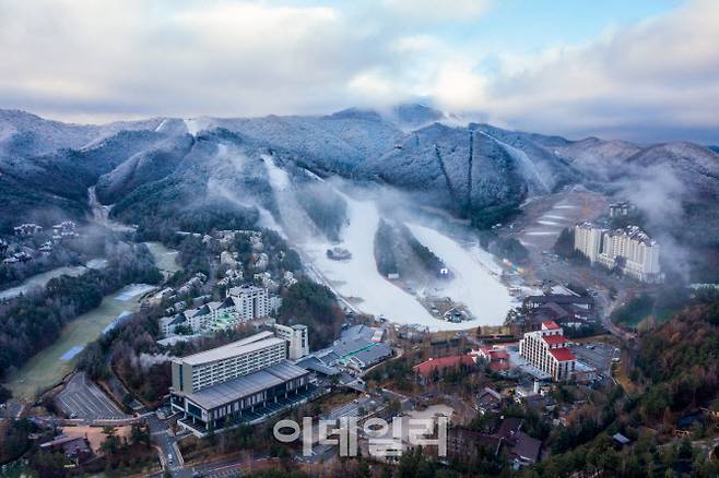 용평리조트 슬로프 전경