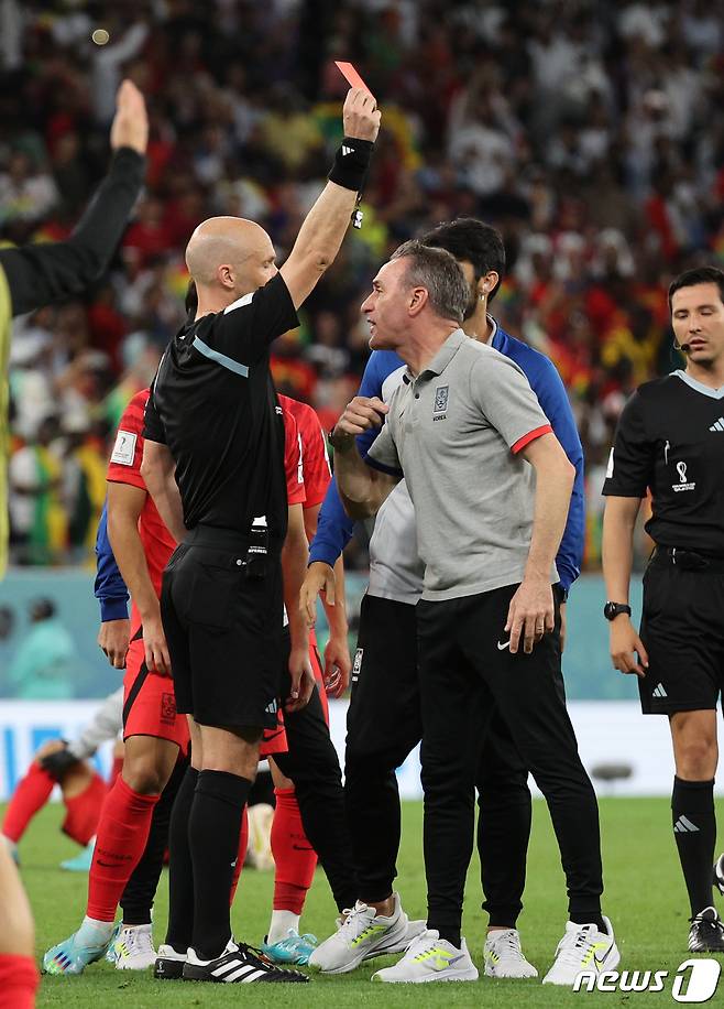 28일 오후(현지시간) 카타르 알라이얀 에듀케이션 시티 스타디움에서 열린 2022 카타르 월드컵 조별리그 H조 2차전 대한민국과 가나의 경기, 마지막 코너킥 상황에 종료 휘슬을 분 앤서니 테일러 주심에게 벤투 감독이 강력히 항의하자 레드카트를 꺼내고 있다. 2022.11.28/뉴스1 ⓒ News1 이광호 기자
