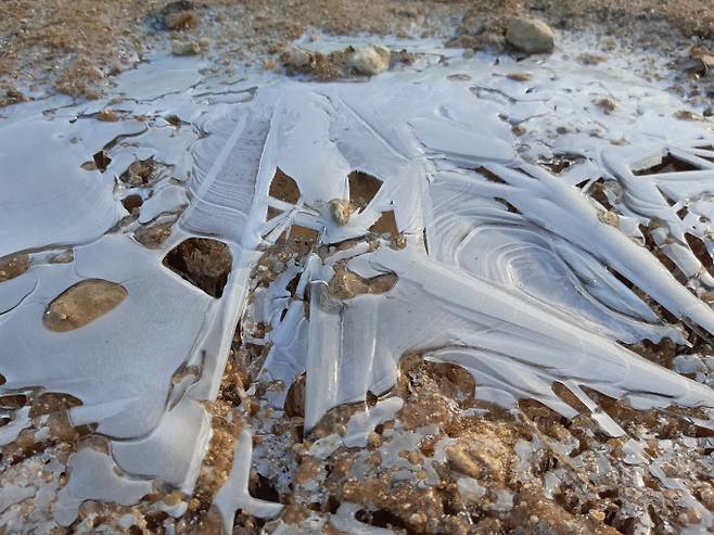 서울,오늘날씨,내일날씨©bntnews&nbsp;