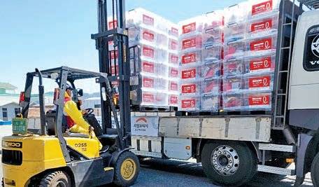 롯데는 연말을 앞두고 재난재해 피해 지역의 회복을 돕기 위한 ‘재난재해 회복 지원 사업’을 진행한다. 사진은 지난 3월 산불 피해 지역에 구호키트를 전달하는 모습. [사진 롯데그룹]