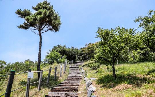 난지섬 등산로. 사진=당진시 제공