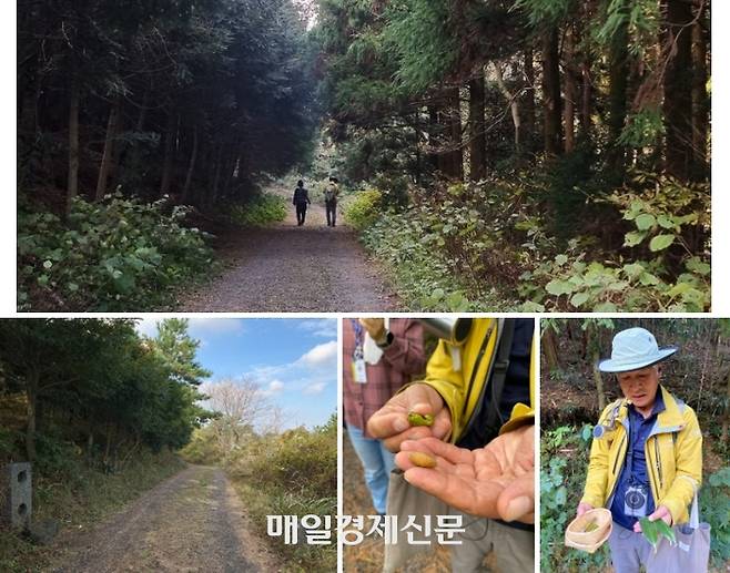 다랑쉬오름 둘레길 / 사진=홍지연 여행+ 기자