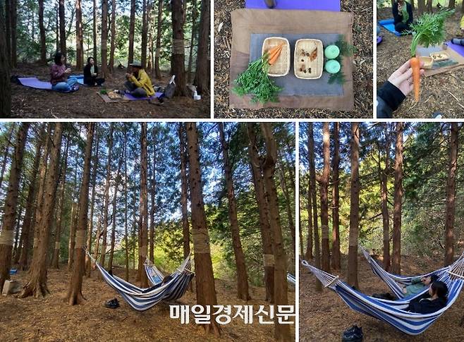 다랑쉬오름 웰니스 프로그램 / 사진=홍지연 여행+ 기자
