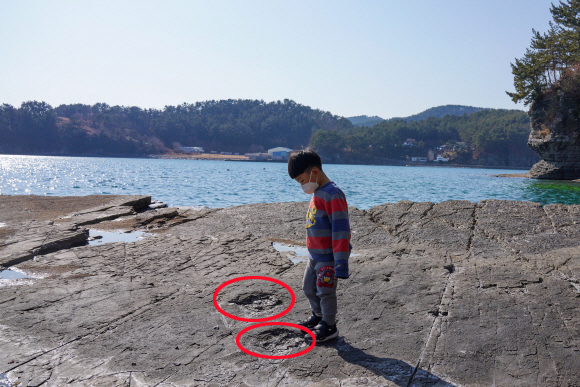 경남 고성 상족암군립공원을 찾은 어린아이가 갯바위에 남은 공룡 발자국 화석(원 안)을 지켜보고 있다.