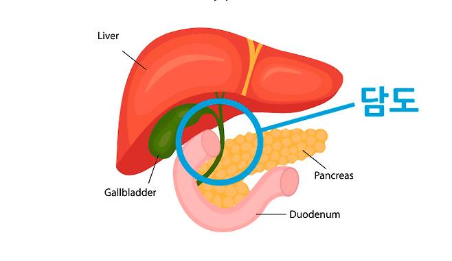 클립아트코리아