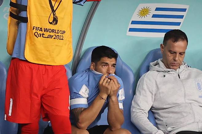 우루과이의 탈락에 벤치에서 울며 경기를 지켜보는 루이스 수아레스(가운데)의 모습.[EPA=연합뉴스]