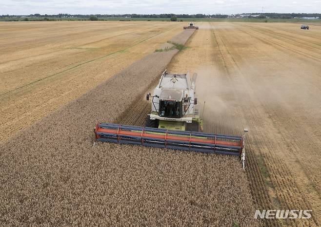 [즈흐리우카=AP/뉴시스] 9일(현지시간) 우크라이나 즈흐리우카의 밀밭에서 농민들이 밀을 수확하고 있다.  2022.08.10.