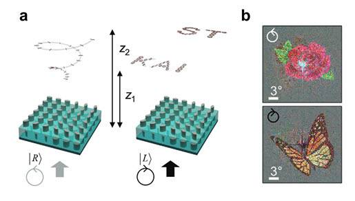 유니버설 메타표면을 통해구현한 3차원 벡터 홀로그램