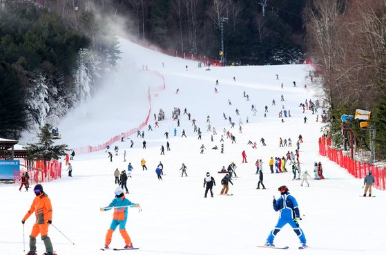 4일 오전 강원 평창군 용평리조트 스키장에서 스키어 및 스노보더들이 겨울을 즐기고 있다. 연합뉴스