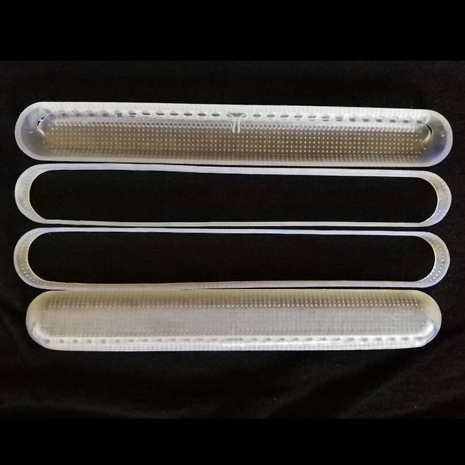 식물 플랑크톤 규조류 껍질의 비밀 / 사진=산티아고 베르날, 맥길대