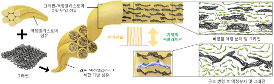 인공 근육 섬유 제작의 개략도와 내부 수축과 이완 시 내부구조 도식. 사진=한국과학기술원(KAIST) 제공