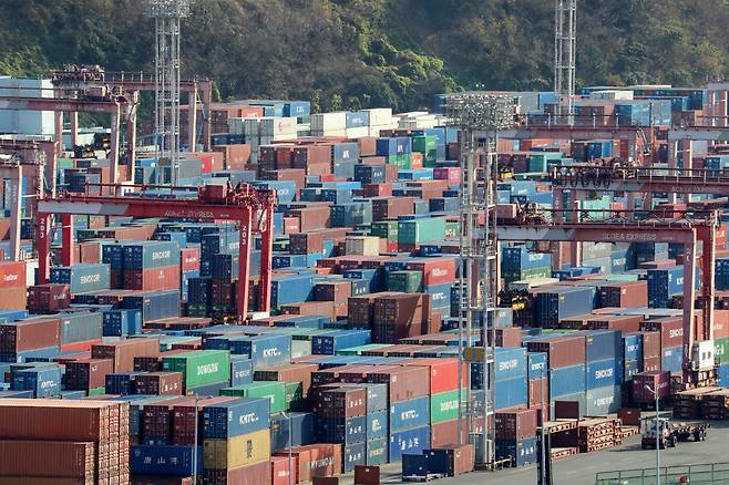 민주노총 화물연대의 집단 운송거부 사태 12일째인 지난 5일, 부산 남구 부산항 용당부두에 컨테이너들이 쌓여있다./뉴스1