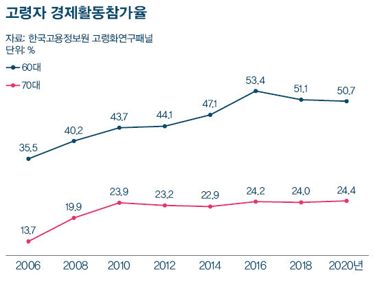 고령자 경제활동참가율