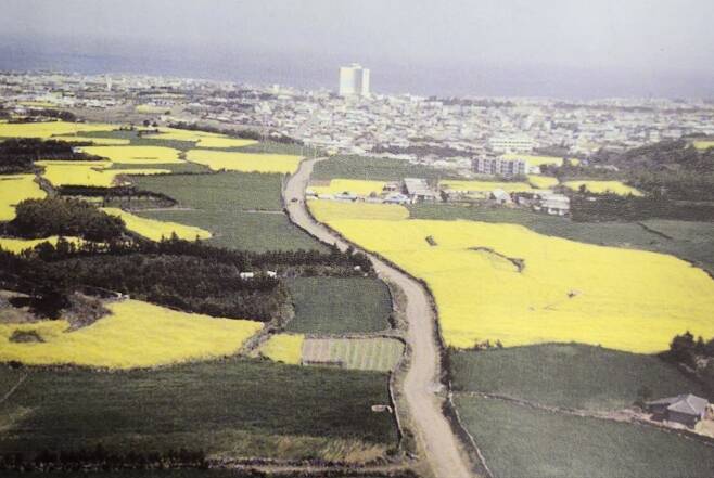1978년 촬영된 중앙로 컬러 사진. 속칭 ' 고산 동산' 지점부터 도심 개발이 끊기고, 도로는 비포장 굽은 길이었다. (제주도)