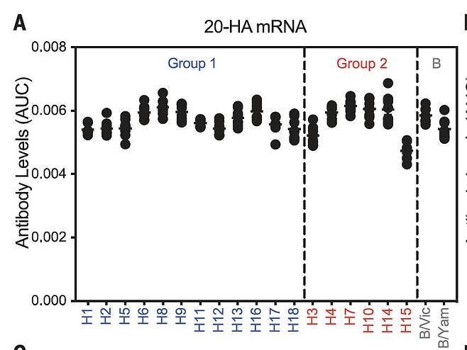 펜실베이니아대 연구진이 개발한 메신저RNA 백신은 20가지의 모든 인플루엔자 바이러스에 강력한 효능을 보였다. 사이언스