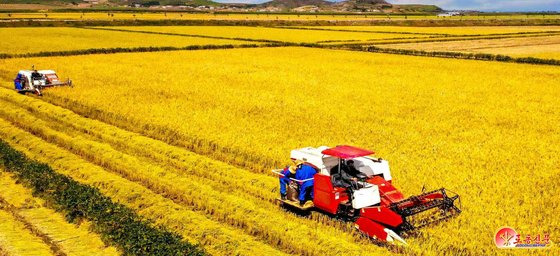황해남도 지역 농민들이 지난 9월에 지원받은 농기계를 이용해 수확하는 모습. 뉴스1