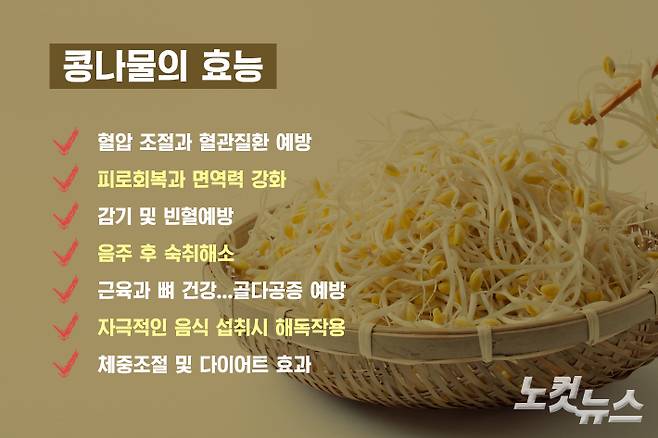 '콩나물 효능' 카드뉴스 이미지. 노컷TV 채승옥
