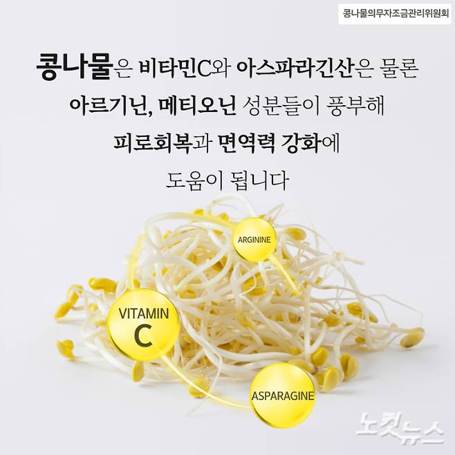 '콩나물 효능' 카드뉴스 이미지. 노컷TV 채승옥