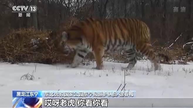 중국 CCTV 화면