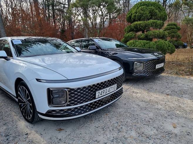 신형 그랜저 전면부. 색상별로 다른 느낌을 자아낸다. ⓒ데일리안 편은지 기자