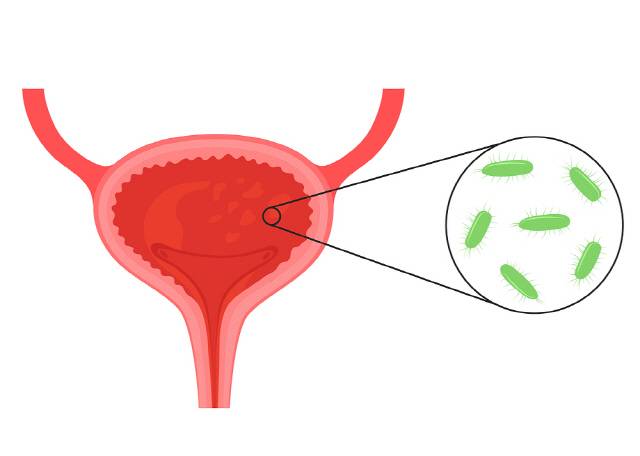 클립아트코리아 제공