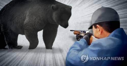탈출곰 사살 일러스트/연합뉴스