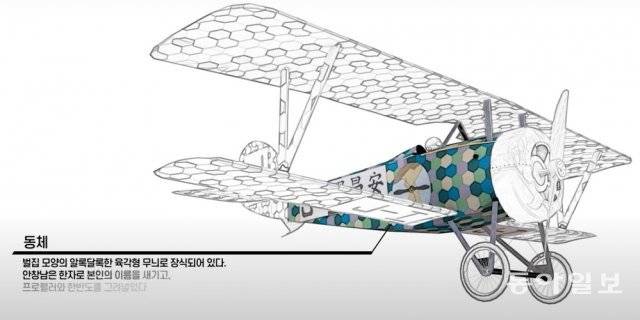 금강호의 일러스트 이미지. 안창남은 본인이 직접 실제 비행기의 패턴과 유사하게 디자인 했다고 한다. 안창남이 몰았던 금강호는 뉴포르 항공기로 추정되는 데, 정확히 어떤 기종인지는 확인되지 않고 있다. 동아일보DB