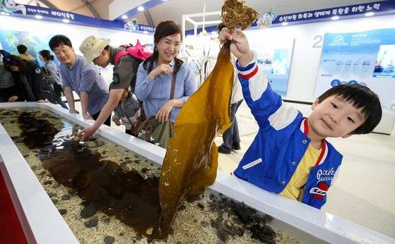 2017년 4월 제2회 국제해조류박람회장을 찾은 한 어린이가 다시마를 들어보이고 있다. 중앙포토