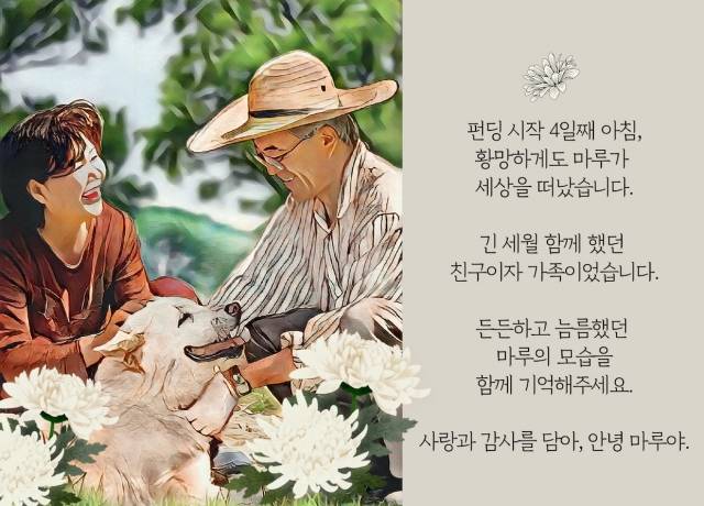 텀블벅 캡처