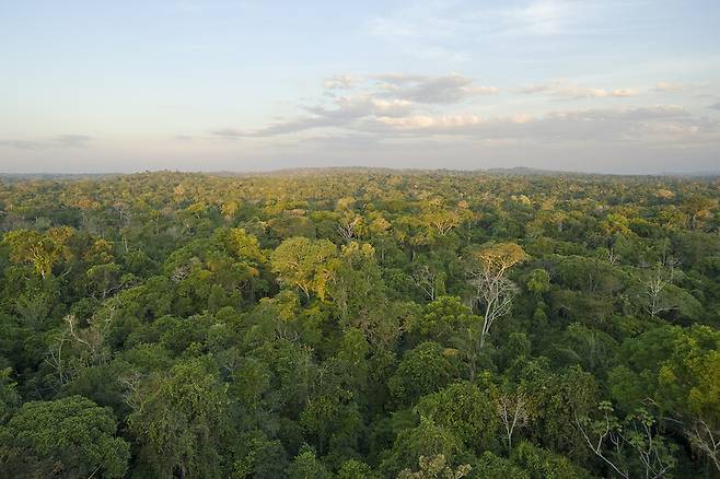 아마존 열대 우림. 숲을 보호하고 복원하는 것은 기후위기에 대응하는 대표적 자연기반해법으로 꼽힌다. 다만 조림을 통한 탄소 격리는 영구적이지 않다는 한계가 있다. 게티이미지