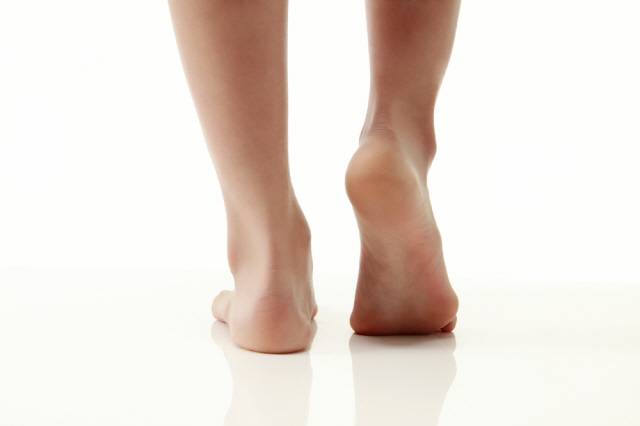 클립아트코리아 제공