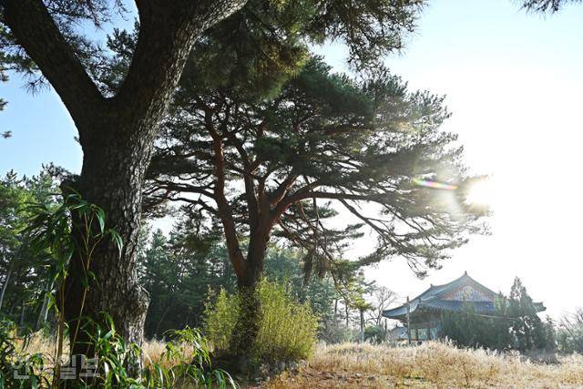 원래 월송정이 있었던 월송포진성 터에 현재는 사찰이 들어서 있다.