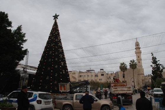 베들레헴 예수탄생 교회 앞의 광장에 대형 성탄 트리가 세워져 있다. 오른쪽 뒤편으로 이슬람 모스크의 탑이 보인다. 십자가와 초승달, 그리스도교와 이슬람교의 상징이 마주한 풍경이 베들레헴에서는 그리 낯설지 않다. 백성호 기자