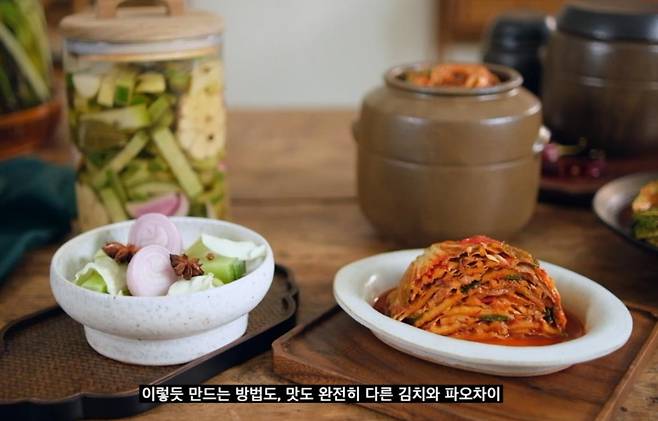 '김치의 특별함' 영상의 한 부분 [서경덕 교수 제공]