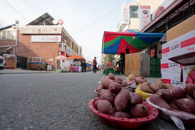 고구마 맛 제철은 겨울. 수확하고 나서 쨍한 추위를 만났을 때 비로소 단맛이 난다.
