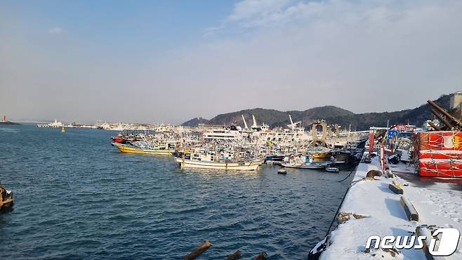 강풍주의보로 결박된 대천항.(보령시 제공)/뉴스1