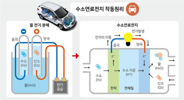 그래픽=김문중기자