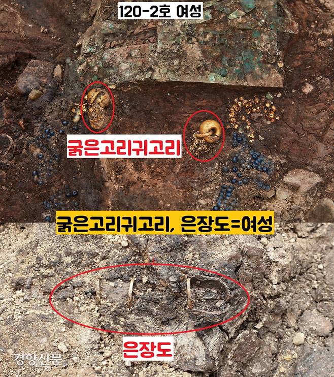 120-2호에서는 여성의 표지유물로 통하는 굵은고리귀고리와 은장도가 확인됐다. 무덤주인공이 여성임을 암시한다.|신라유산문화연구원 제공