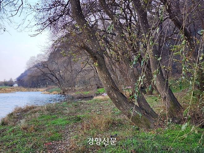 환경부가 자전거도로 설치를 추진하면서 훼손될 위기에 놓인 금호강 천변 모습. 김기범 기자.