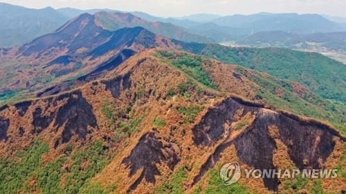 지난 6월 초 촬영한 밀양 부북면 산불 흔적 [연합뉴스 자료사진]