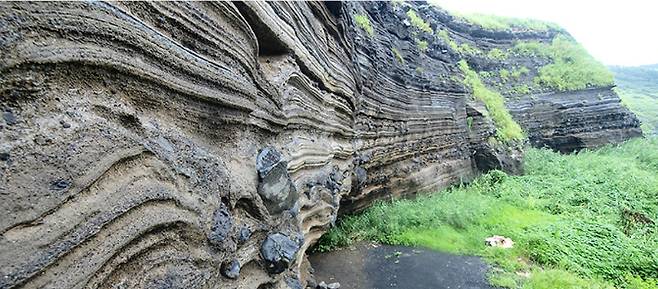 세계지질공원 제주 수월봉 화산재층. 제주도 제공