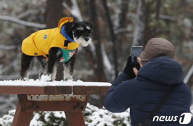 눈이 내린 21일 오전 서울 용산구 효창공원에서 시민이 강아지와 사진을 찍고 있다. 2022.12.21/뉴스1 ⓒ News1 김민지 기자