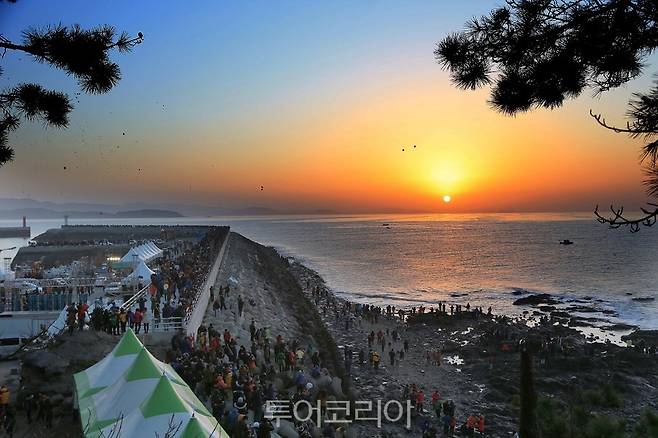 서천군 마량진항 일출