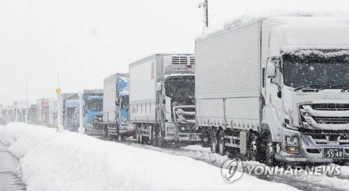 일본 니가타현 폭설에 오도 가도 못하는 트럭들 (도쿄=연합뉴스) 박성진 특파원 = 20일 일본 니가타현 나가오카시의 국도에서 폭설에 트럭들이 오도 가도 못하고 서 있다. 2022.12.21
    sungjinpark@yna.co.kr