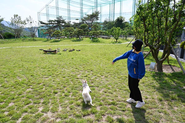 ‘장안숲:므로’ 강아지 운동장에서 반려인과 반려견이 공놀이에 한창이다. 총면적 3만3057㎡ 규모의 장안숲에는 강아지를 위한 운동장과 산책길, 반려인을 위한 카페 등이 마련돼 함께 추억을 남기기 좋다. 국제신문 DB