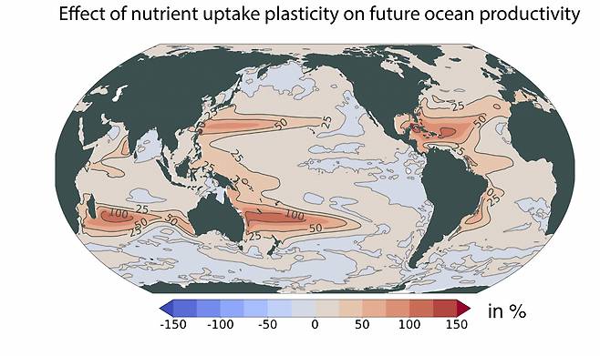 식물 플랑크톤의 영양 흡수 조절 능력이 미래 해양 순생산량에 미치는 영향.[IBS 제공]